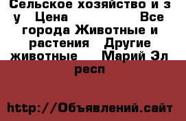 Сельское хозяйство и з/у › Цена ­ 2 500 000 - Все города Животные и растения » Другие животные   . Марий Эл респ.